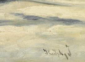 szky jelzéssel: Erzsébet híd és a ködbe boruló budai oldal. Olaj, vászon, jelzett, igényes keretben....