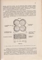 Szádeczky-Kardoss Elemér:
Szénkőzettan. (Dedikált.)
Budapest, 1952. Akadémiai Kiadó (ny.) 315 + [1...