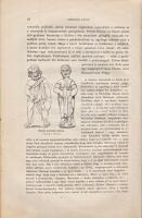 Csengeri János:
A római irodalom története. (Aláírt.)
Budapest, 1904. [Franklin ny.] 1 t. (címkép)...