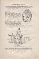 Csengeri János:
A római irodalom története. (Aláírt.)
Budapest, 1904. [Franklin ny.] 1 t. (címkép)...