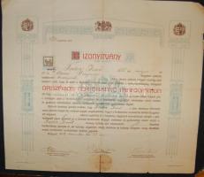 1919 Országos Fertőtlenítő Tanfolyam bionyítványa (hajtásnyomokkal)