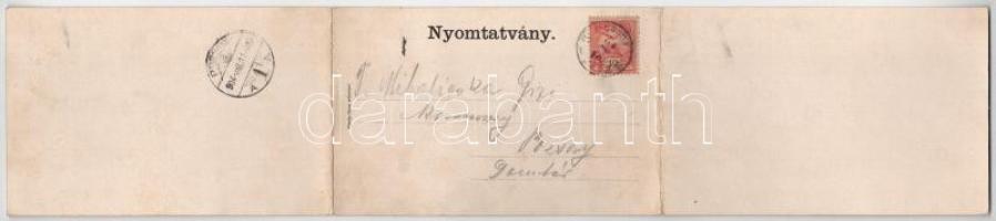 1904 Szliács, Sliac; Hungária, Buda és Pest szállodák, Fürdőigazgatóság. Ilona műintézet kiadása - 3...