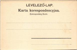 Csorsztin, Csorsztyn, Czorsztyn; Og. widok str. zachodnia / vár / castle