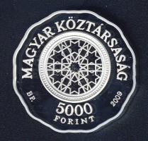 2009. 5000Ft Ag "Dohány utcai zsinagóga" T:PP