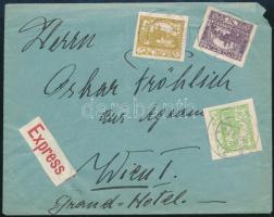 1919 Expressz levél Bécsbe / Express cover to Vienna