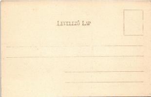 Lednic, Lednicz, Lednica; Rákóczi vár romjai. Fogyasztási szövetkezet kiadása / hrad / castle ruins