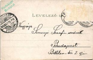 1900 Balassagyarmat, látkép, Fő utca, Megyeháza, Kórház, Fogház, Kékkői vár. Wertheimer Zsigmond kia...