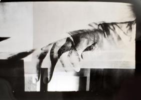 Baranyai András (1938-2016): Kezek című munkáihoz és egyéb munkákhoz használát fotó negatívok, nyomó...