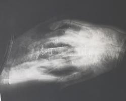 Baranyai András (1938-2016): Kezek című munkáihoz és egyéb munkákhoz használát fotó negatívok, nyomó...