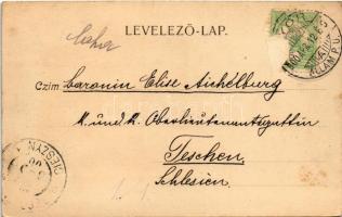 1900 Győr, Baross út, Heckenast György, Kohn P. üzlete. Nitsmann József kiadása (Rb)