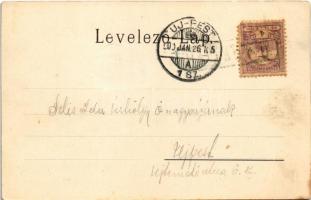 1900 Hatvan, Cukorgyár, gőzmalom. Hoffmann M. L. kiadása (Rb)