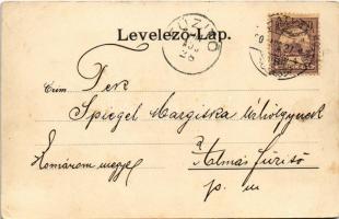 1901 Hatvan, Cukorgyári igazgatósági épület, Cukorgyár és cukorgyári kastély. Hoffmann M. L. kiadása...