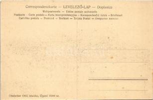 Budapest XIV. Városliget, Magyar Műszínkör, villamos. Ohnheiser Ottó kiadása