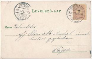 1900 Pig gentlemen drinking and smoking. litho (EB)