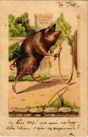 1899 (Vorläufer) Pig. litho (EM)