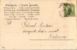 1907 Boldog Újévet! / New Year greeting art postcard with lady riding a pig-drawn carriage. Art Nouv...