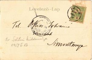 1903 Sopron, Széchenyi szobor. Kummert L. No. 242. Art Nouveau, floral, litho (fl)