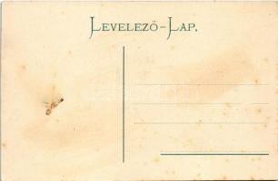 1905 Versec, Werschetz, Vrsac; Városház tér. Özv. Kirchner J. E. kiadása. Montázs lovaskocsival és h...