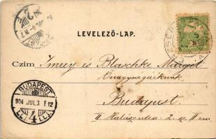 1904 Budapest XX. Pestszenterzsébet, Pesterzsébet, Erzsébetfalva; alsó rész. Havasy Ferenc kiadása (...