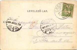 1907 Budapest XXI. Csepel, Kilátás dunai részlettel. Havasy Béla kiadása, Art Nouveau (EK)