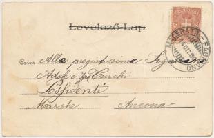 1900 Budaörs, Loser János keserűvíz üzeme, Belvedere, forrás, villa. Olasz nyelvű szecessziós reklám...