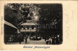 1905 Szászkabánya, Németszászka, Sasca Montana; Malomvölgy, vendéglő, nyaraló. Johann Lang kiadása / Mühlthal / valley, restaurant, villa (EK)