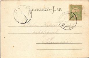 1905 Szászkabánya, Németszászka, Sasca Montana; Malomvölgy, vendéglő, nyaraló. Johann Lang kiadása /...