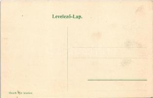 1907 Dicsőszentmárton, Tarnaveni, Diciosanmartin; Rákóczi utca. Hirsch Mór kiadása / street view