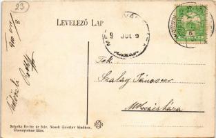 1910 Buziásfürdő, Baile Buzias; Deák Ferenc pihenője. Scholtz Endre felvétele. Nosek Gusztáv kiadása...