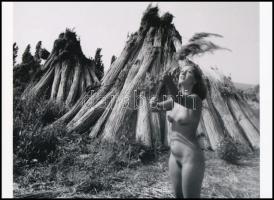 cca 1981 Velencei-tó, nádaratás után, szolidan erotikus felvétel, 1 db modern nagyítás, jelzés nélkül, 15x21 cm