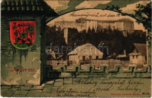 1905 Ungvár, Uzshorod, Uzhorod; vár. Feuerlicht testvérek kiadása. Szecessziós címeres litho montázs / castle. Art Nouveau litho montage with coat of arms (EK) + NAGY-KÁROLY-KOLOZSVÁR 74. SZ. vasúti mozgóposta