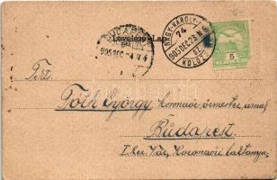 1905 Ungvár, Uzshorod, Uzhorod; vár. Feuerlicht testvérek kiadása. Szecessziós címeres litho montázs...