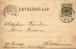 1901 Pozsony, Pressburg, Bratislava; Mihálykapu utca, Schwarz testvérek üzlete / Michaelerthorgasse ...