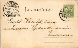 1906 Nagykárolyfalva, Károlyfalva, Karlsdorf, Banatski Karlovac; utca / street (EK)