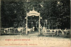 1905 Pancsova, Pancevo; Kiállítás, cukrászda. Népkonyha kiadása / Exhibition, confectionery shop (fl)