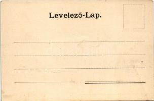 1905 Pancsova, Pancevo; Kiállítás, Mezőgazdasági Csarnok. Népkonyha kiadása / Exhibition, Agricultur...