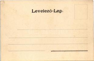 1905 Pancsova, Pancevo; Kiállítás, Ipar Csarnok. Népkonyha kiadása / Exhibition, Industrial Hall