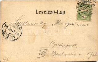 1905 Makó, Fő tér, piac, Schwarz és Reik, Lelek István cukrász, Topcsy László üzlete, étterem, bor- ...