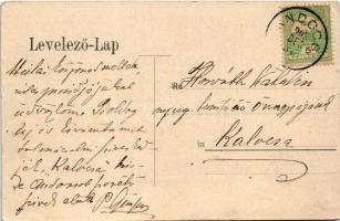 1905 Andocs, Mária-Andocs; templom és zárda, községháza, csendőrlaktanya, Ungár Izidor üzlete. Art N...