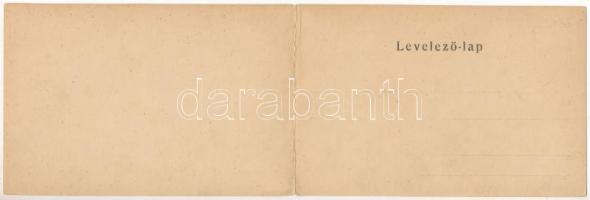 Pozsony, Pressburg, Bratislava; Nittmann Ignátz (Ignác) Panonia (Pannónia) kávéháza, belső, biliárda...