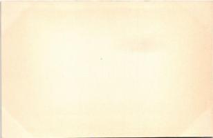 Tátralomnic, Tatranská Lomnica (Magas-Tátra, Vysoké Tatry); Palota szálló / hotel. photo (non PC)