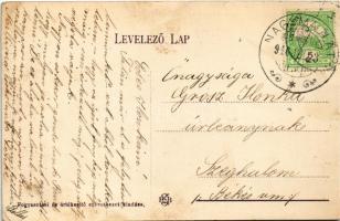 1916 Nagyér, Nagymajlát, Nagymajláth, Nagy-Majláth; Kossuth utca, református templom. Fogyasztási sz...