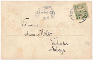 1902 Trencsénteplic, Trencianske Teplice; Gansel Lipót kiadása. Art Nouveau, floral, litho (fl)