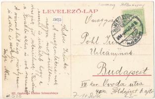 1914 Selmecbánya, Schemnitz, Banska Stiavnica; Szentháromság altárna, bánya, lóvontatású iparvasút. ...