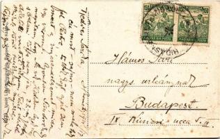 1924 Hidasnémeti, vasútállomás. Vasúti levelezőlapárusítás 6979. (EK)