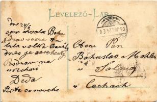 1906 Pöstyén, Piestany; Pillanat felvétel a gyógykertből. Franz Lázár kiadása, montázs fürdővendégek...