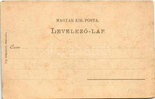 Szabadka, Subotica; Deák utca, villamos. Víg Zsigmond kiadása / street, tram (EK)