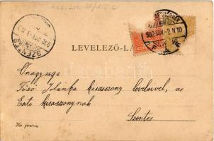 1902 Gyulafehérvár, Karlsburg, Alba Iulia; Lousenau Monument / Losenau emlékmű / Lossenau statue (Rb...