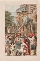 Wagner, Hermann:
Entdeckungsreisen in Stadt und Land. Streifzüge in Mitteldeutschland, mit seinen j...