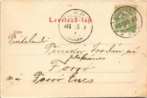 1905 Budapest I. Déli vaspálya Igazgatósági palotája, Déli vasútállomás, tehervagon / Südbahn-Direct...